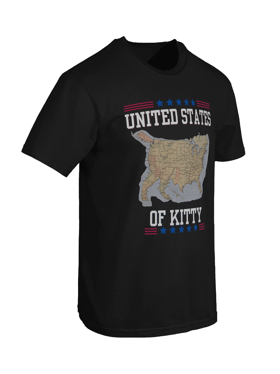 United States of Kitty Tee product image (41)