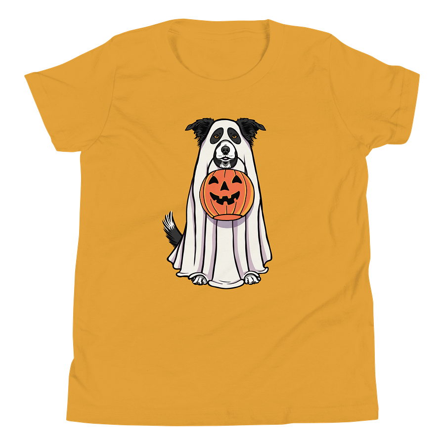 Halloween Border Collie(Black & White) Youth T-Shirt product image (20)