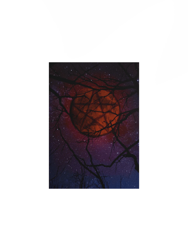Fine Art Prints