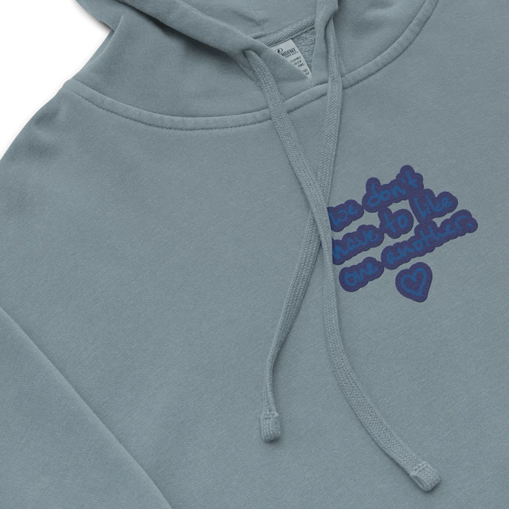 ONE ANOTHER (lake) embroidered pigment hoodie product image (1)