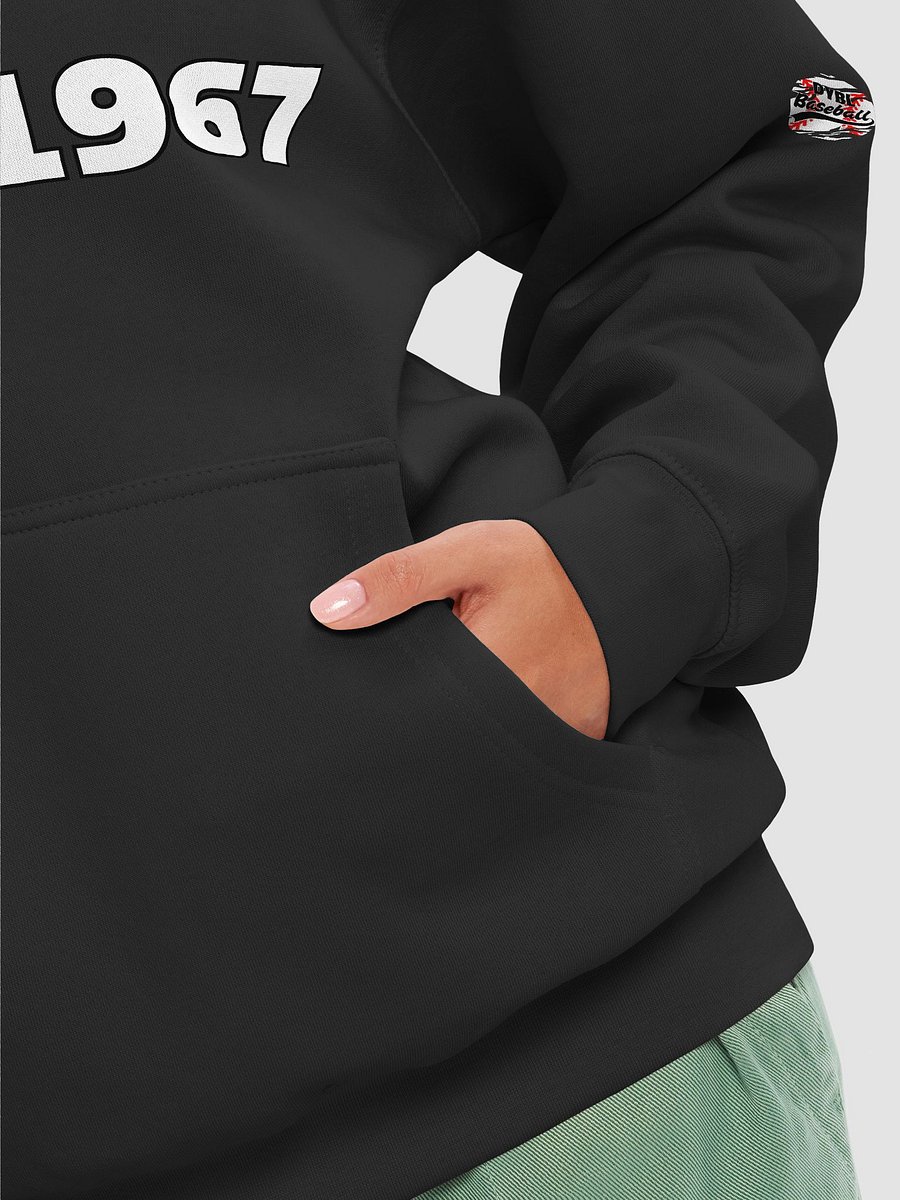 DYBL Baseball Premium Hoodie product image (8)
