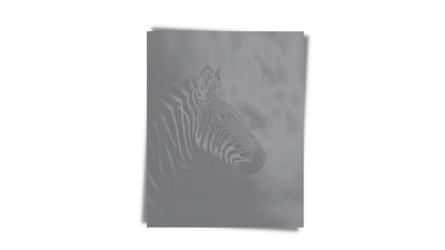 ZEBRA 05 - LITE