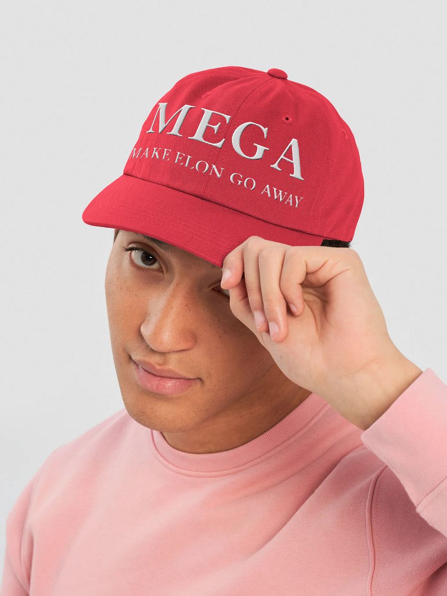 Make Elon Go Away Dad Hat product image (5)