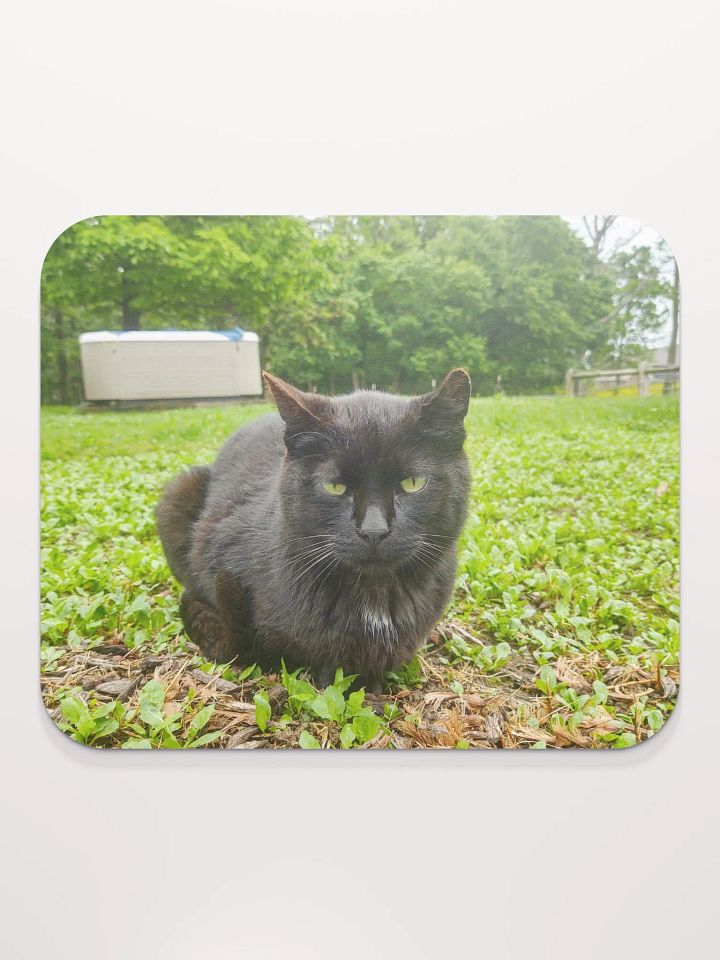 Charlie Classic Mouse Pad product image (2)