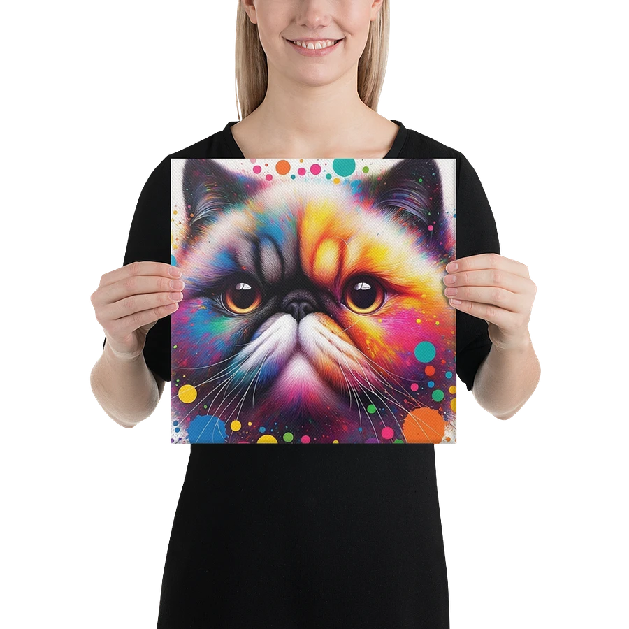 Canvas (in): Exotic Shorthair product image (1)