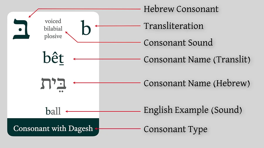 Biblical Hebrew Flashcards - Alphabet & Vowels product image (4)