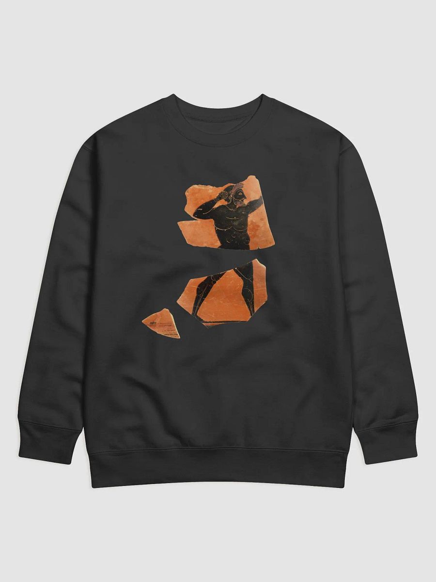 Painter of Tarquinia Boxer Sweatshirt product image (2)