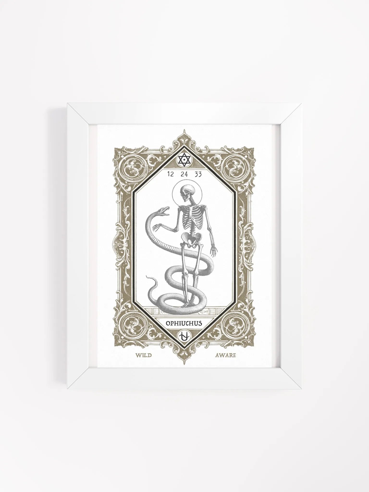 HERMETIC ZODIAC 8X10 Ophiuchus product image (1)