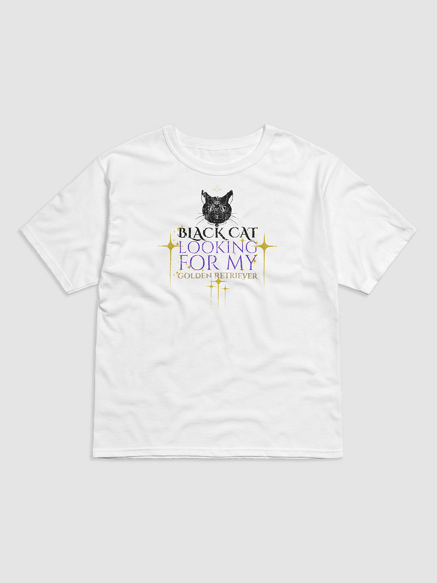 Black Cat Energy Champion T-Shirt product image (1)