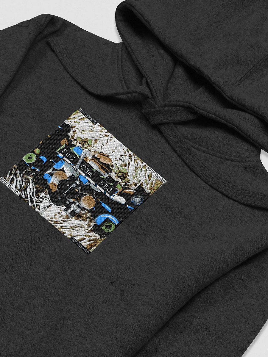 Lost Coast Hoodie product image (3)