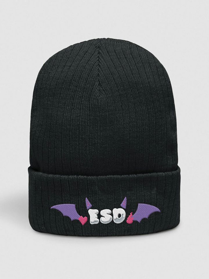 ESD winged beanie product image (1)