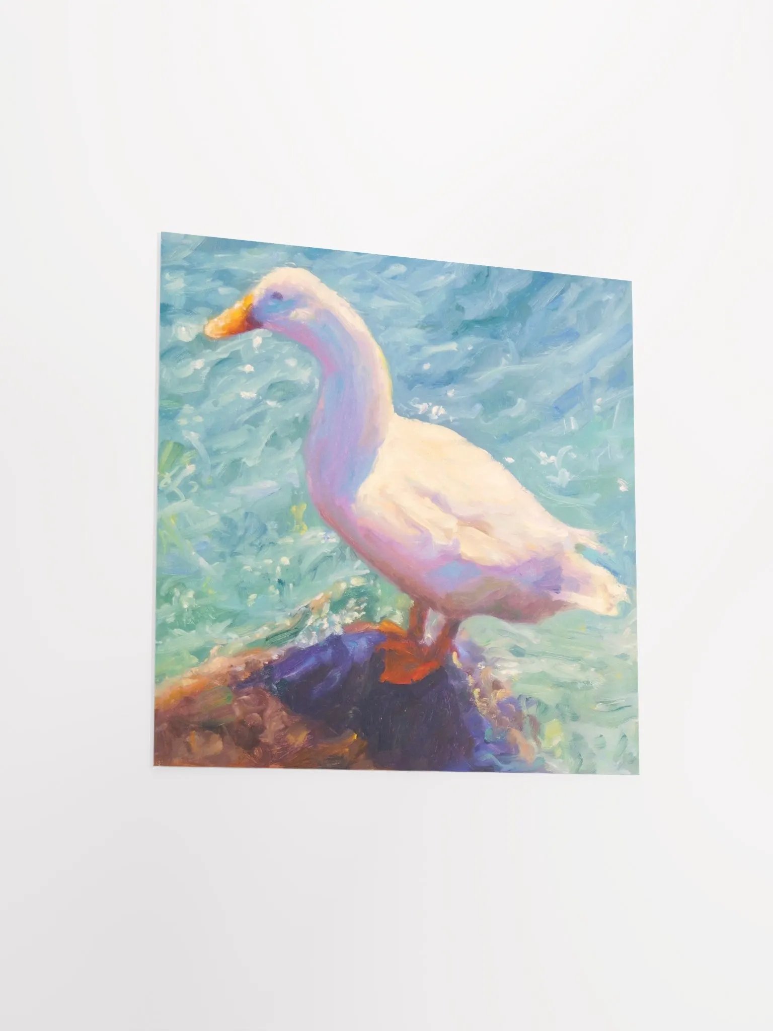 A DUCK product image (6)