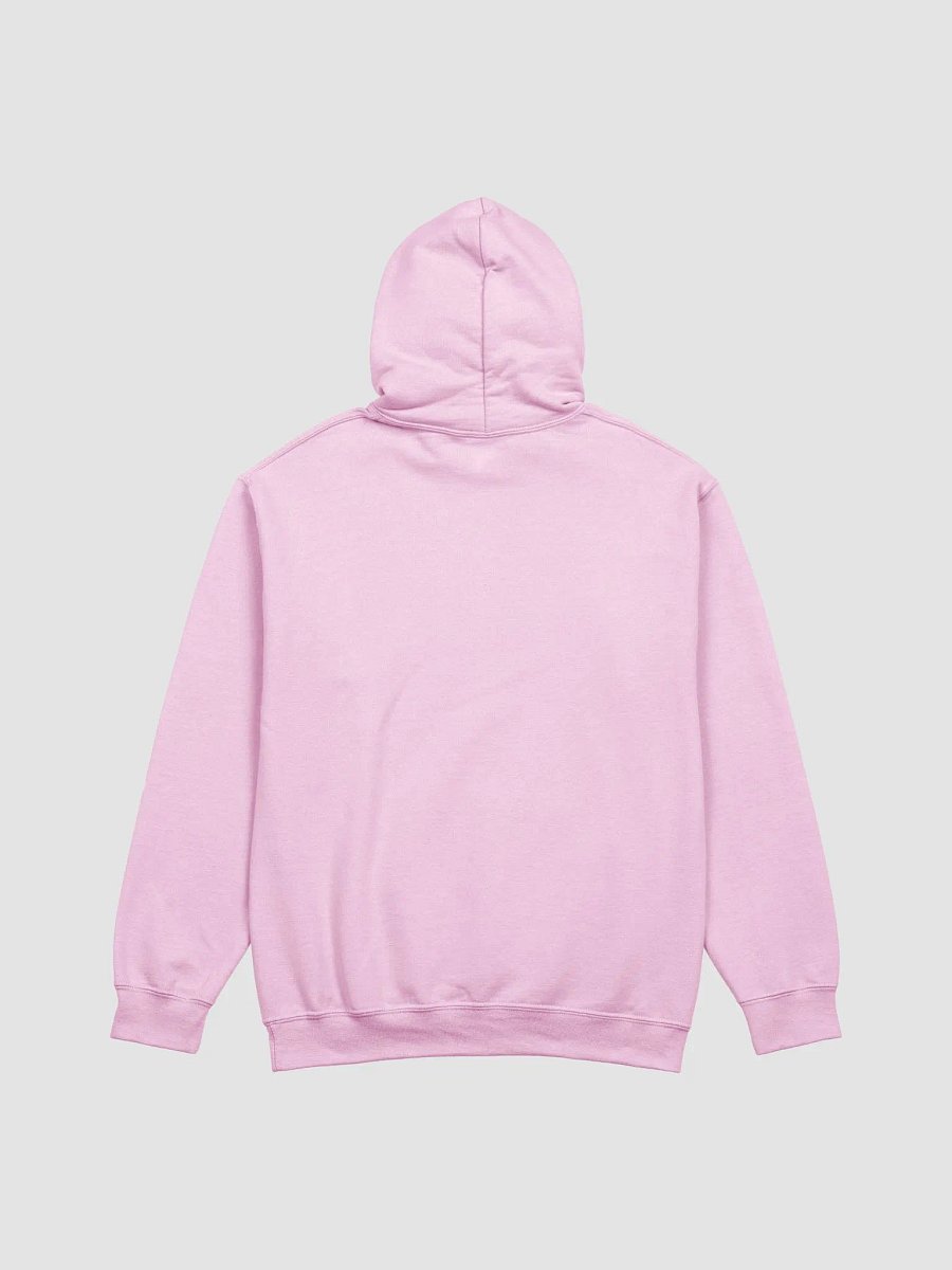 LOVE, SWEAT, & TEARS HOODIE | PINK product image (3)