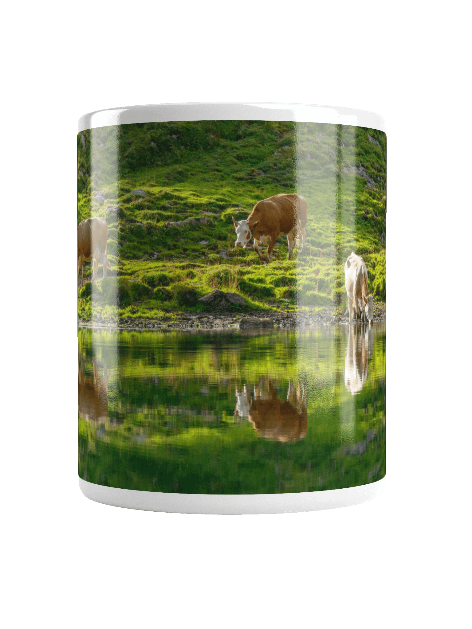 Cows with their reflections product image (16)