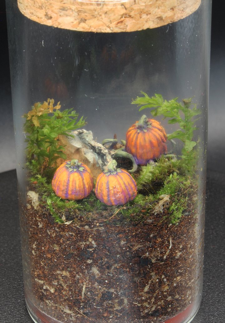 Miniscapes - Halloween - Pumpkins 2 product image (2)