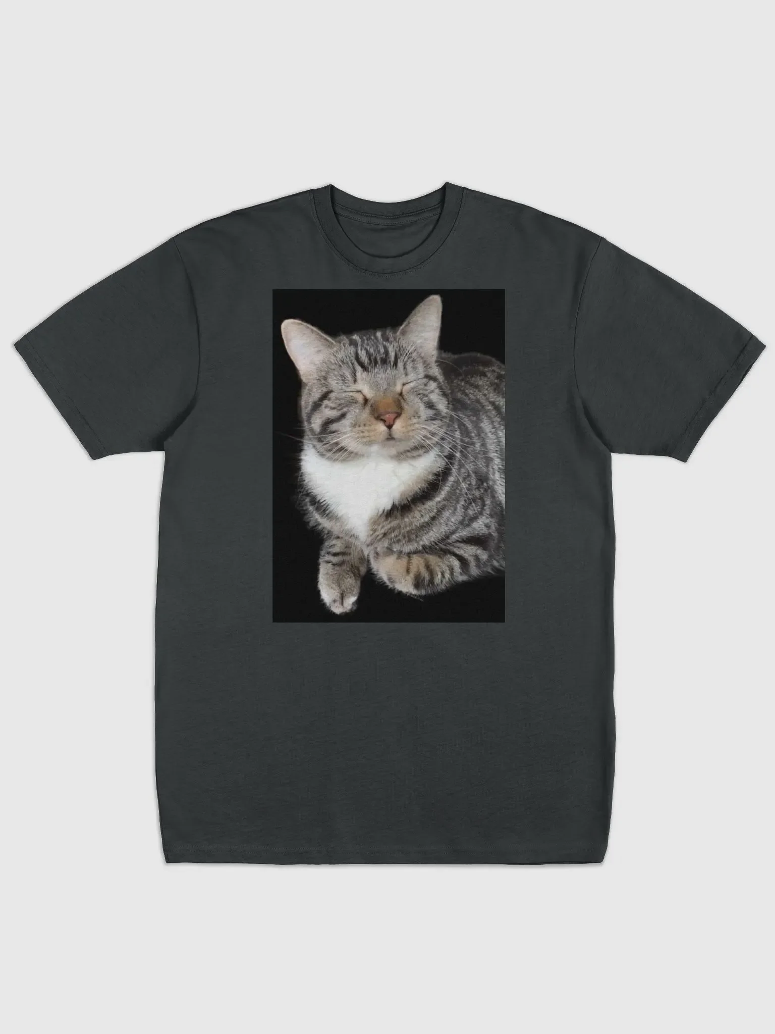 Scooter Cat product image (1)