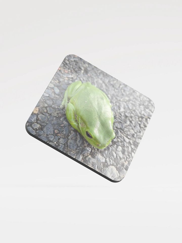 Frog on a Coaster product image (1)