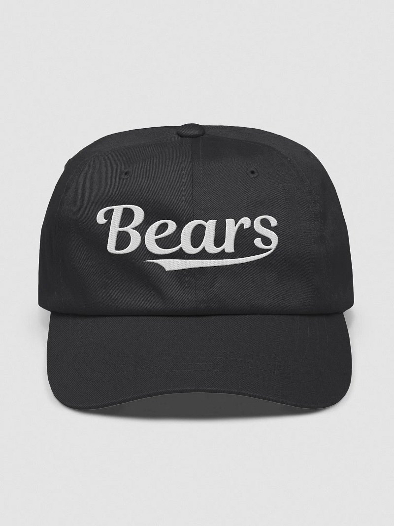 Bears Baseball Hat - Austin Cooper