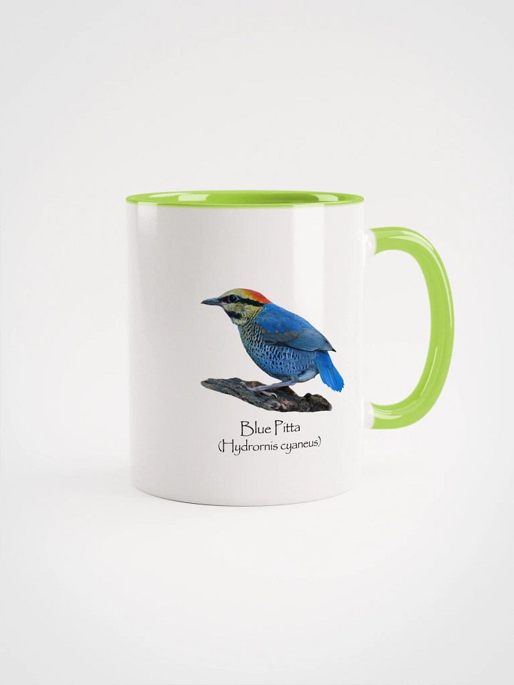 Blue Pitta mug product image (10)