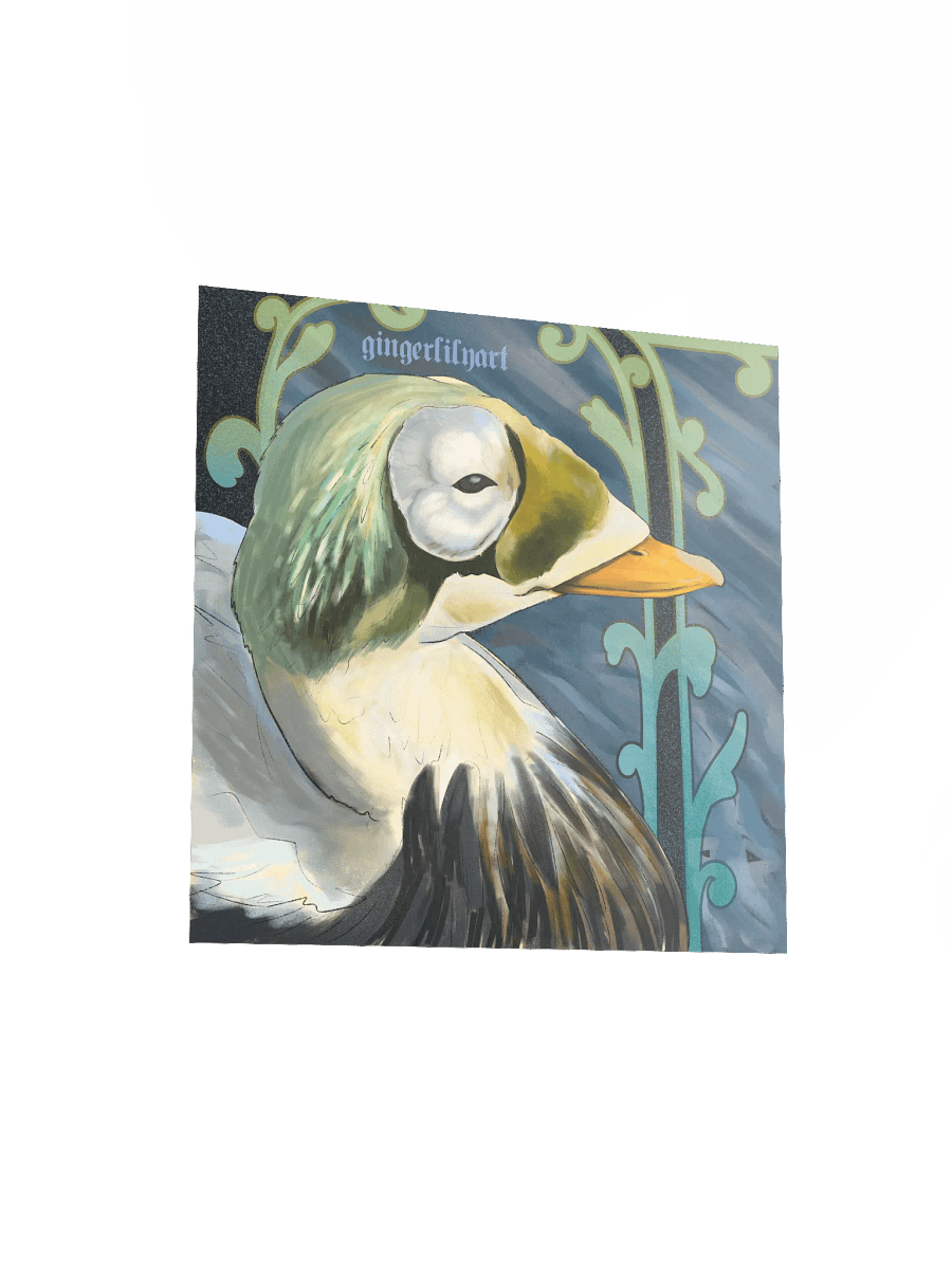 speckled eider duck product image (5)