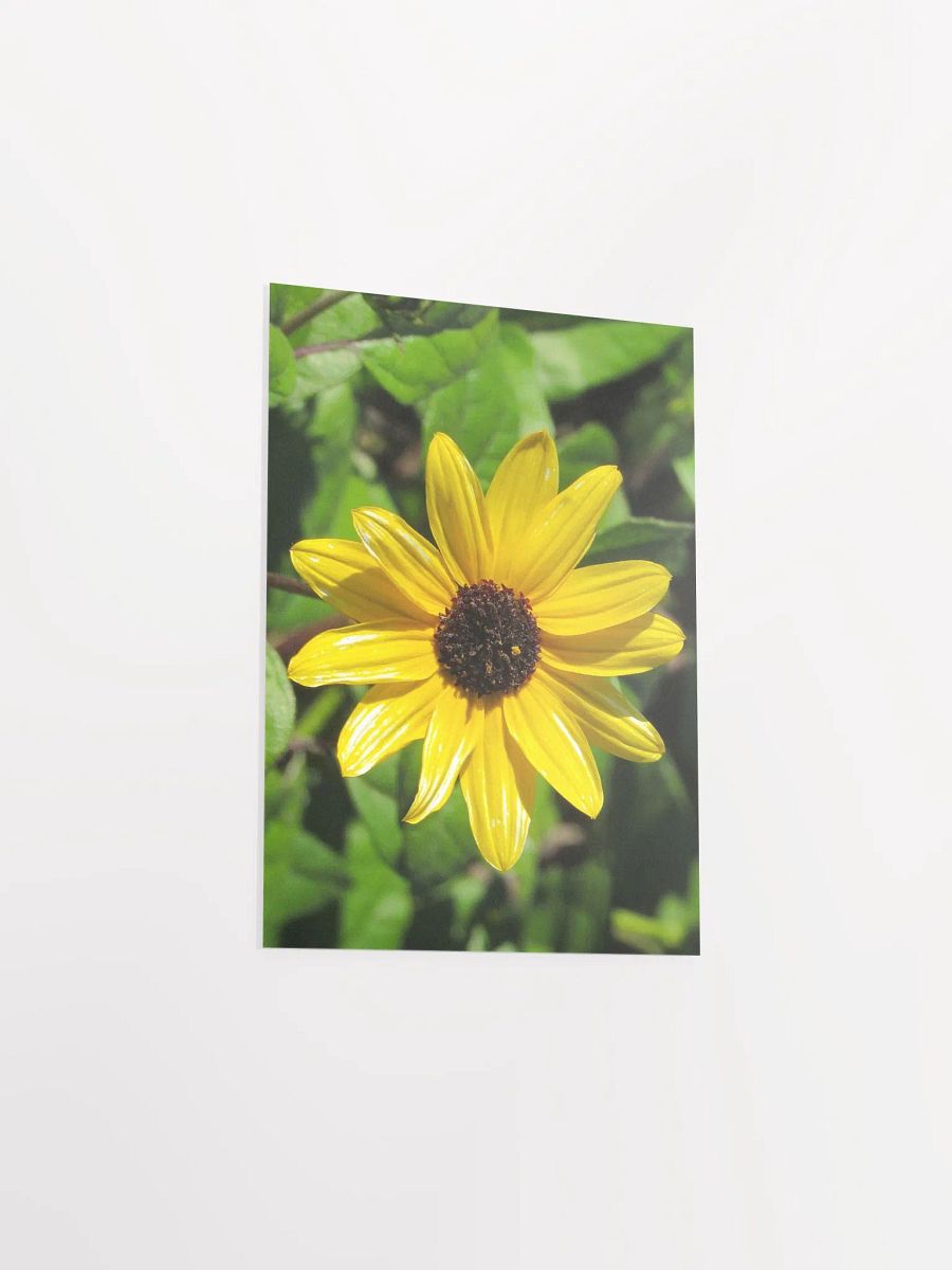 Mini Sunflower product image (39)