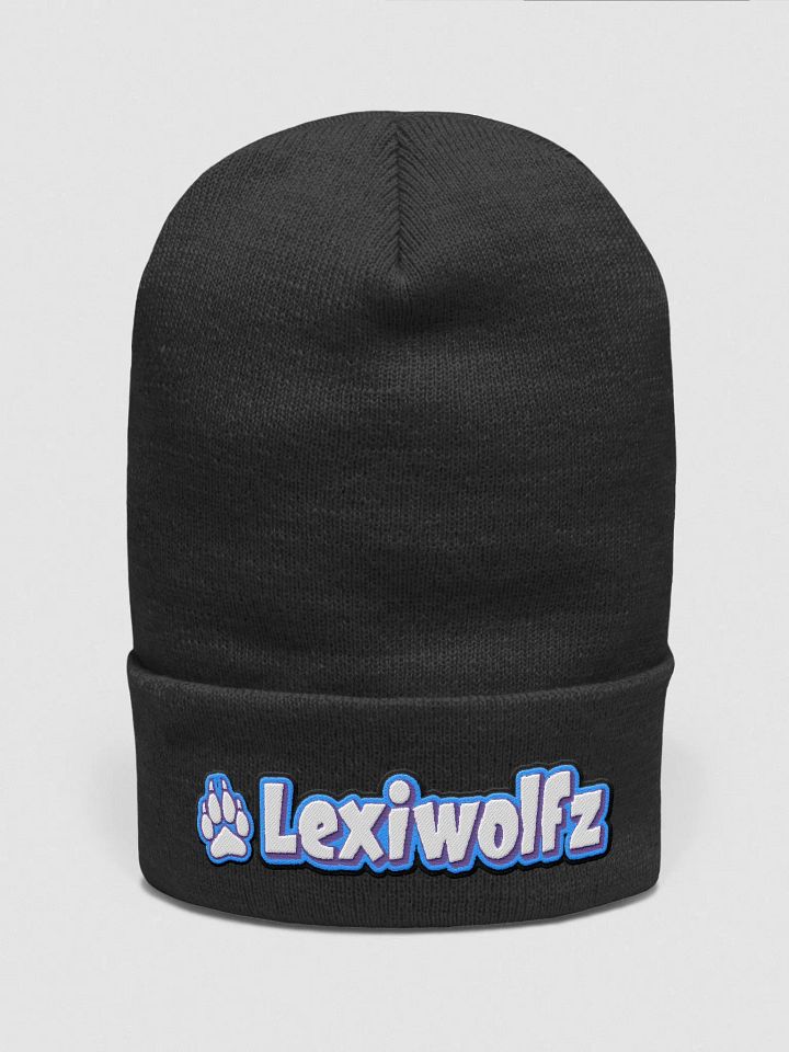 Lexiwolfz 2024 Beanie product image (1)