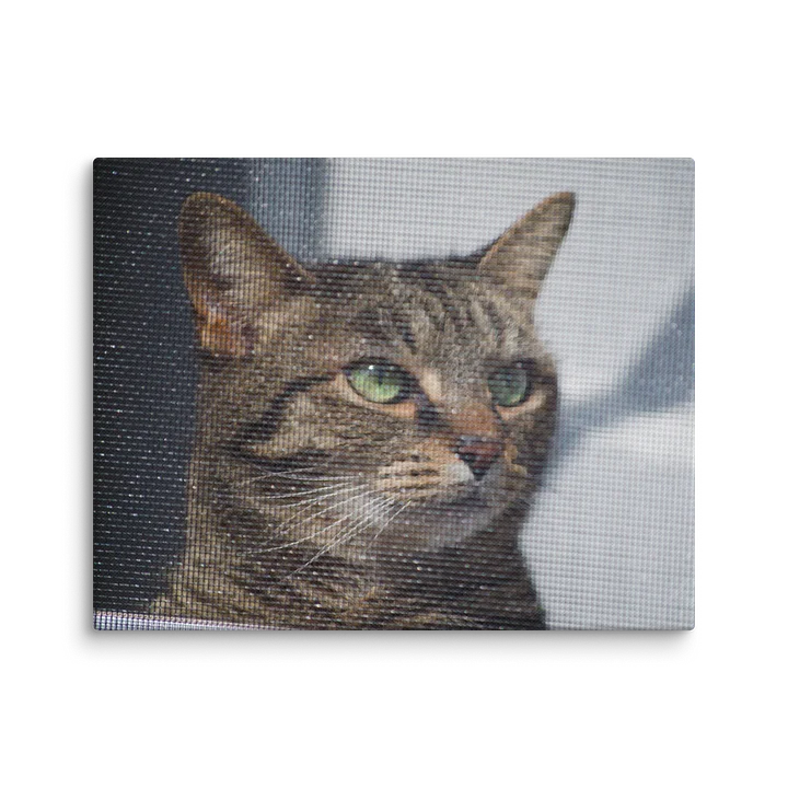 Screened Tabby (Canvas Print) product image (2)