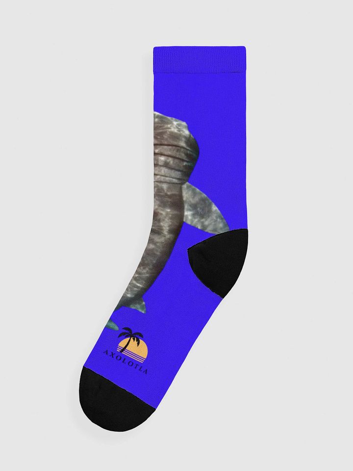 sea eater and basking shark socks product image (1)