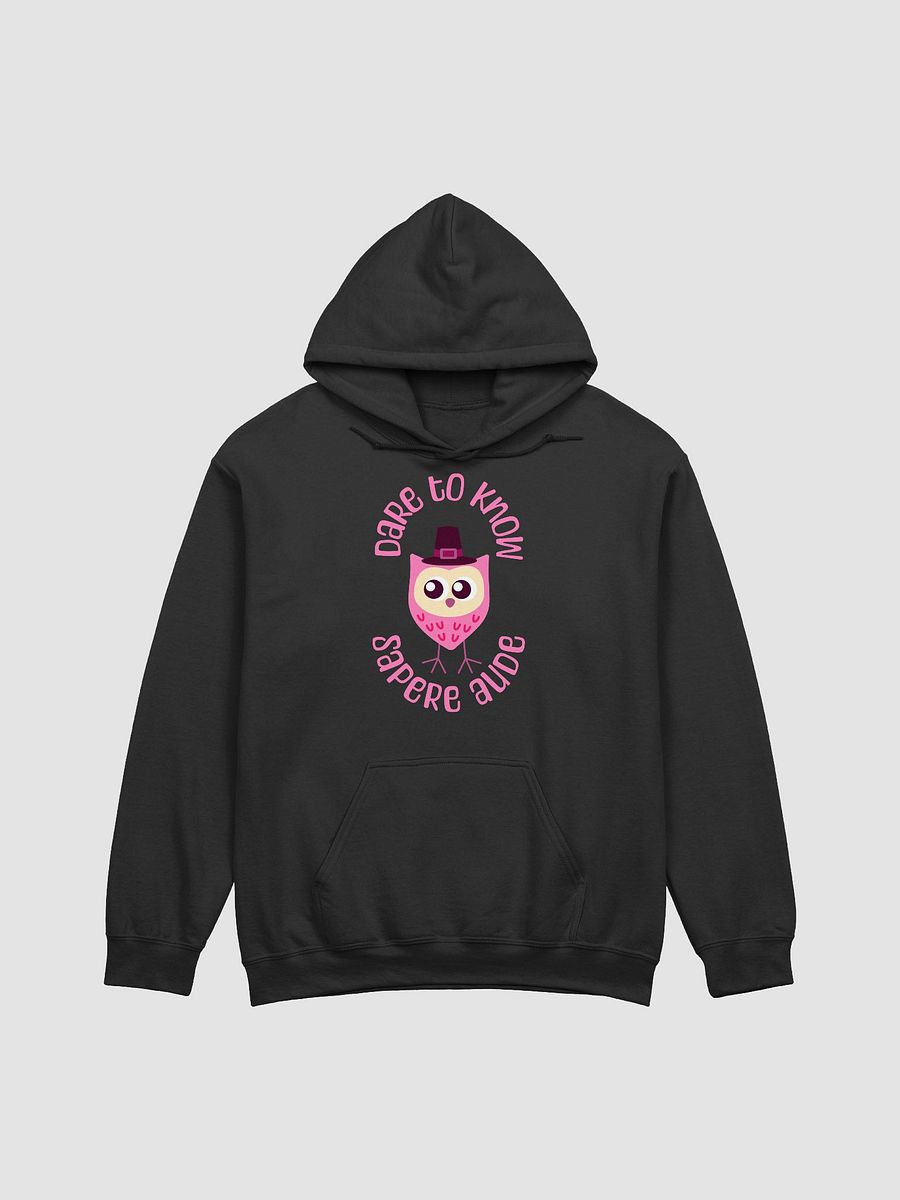 Sapere Aude Hoodie product image (3)