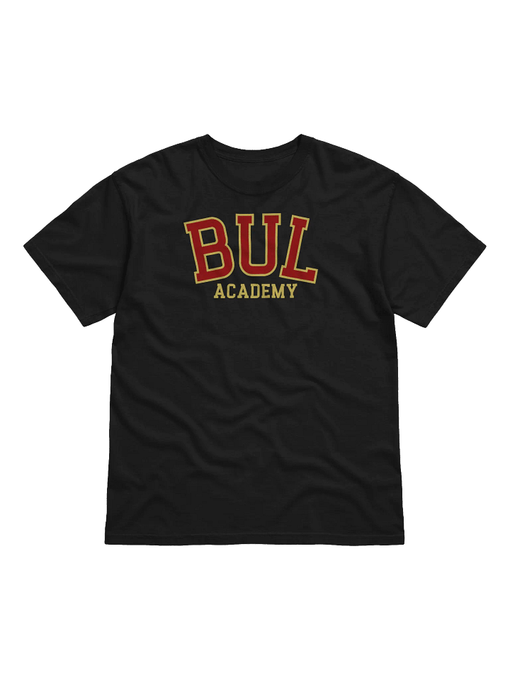Bul Academy | Comfort Colors Garment-Dyed Heavyweight T-Shirt product image (12)