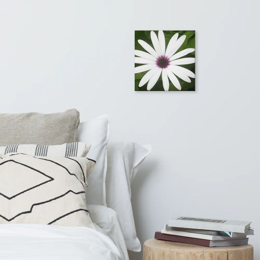 Daisy on Canvas product image (6)