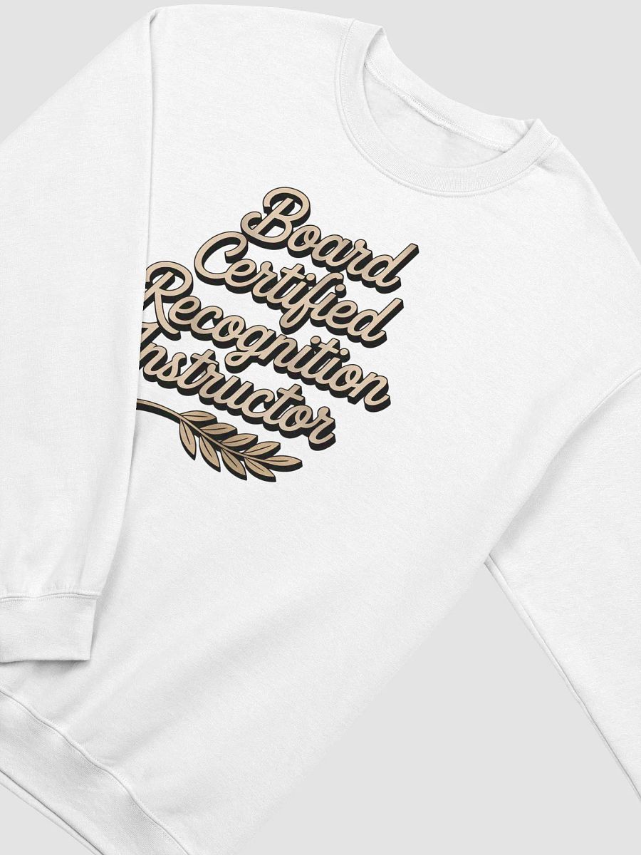 Recognition Instructor Human Design Projector Sweatshirt product image (5)