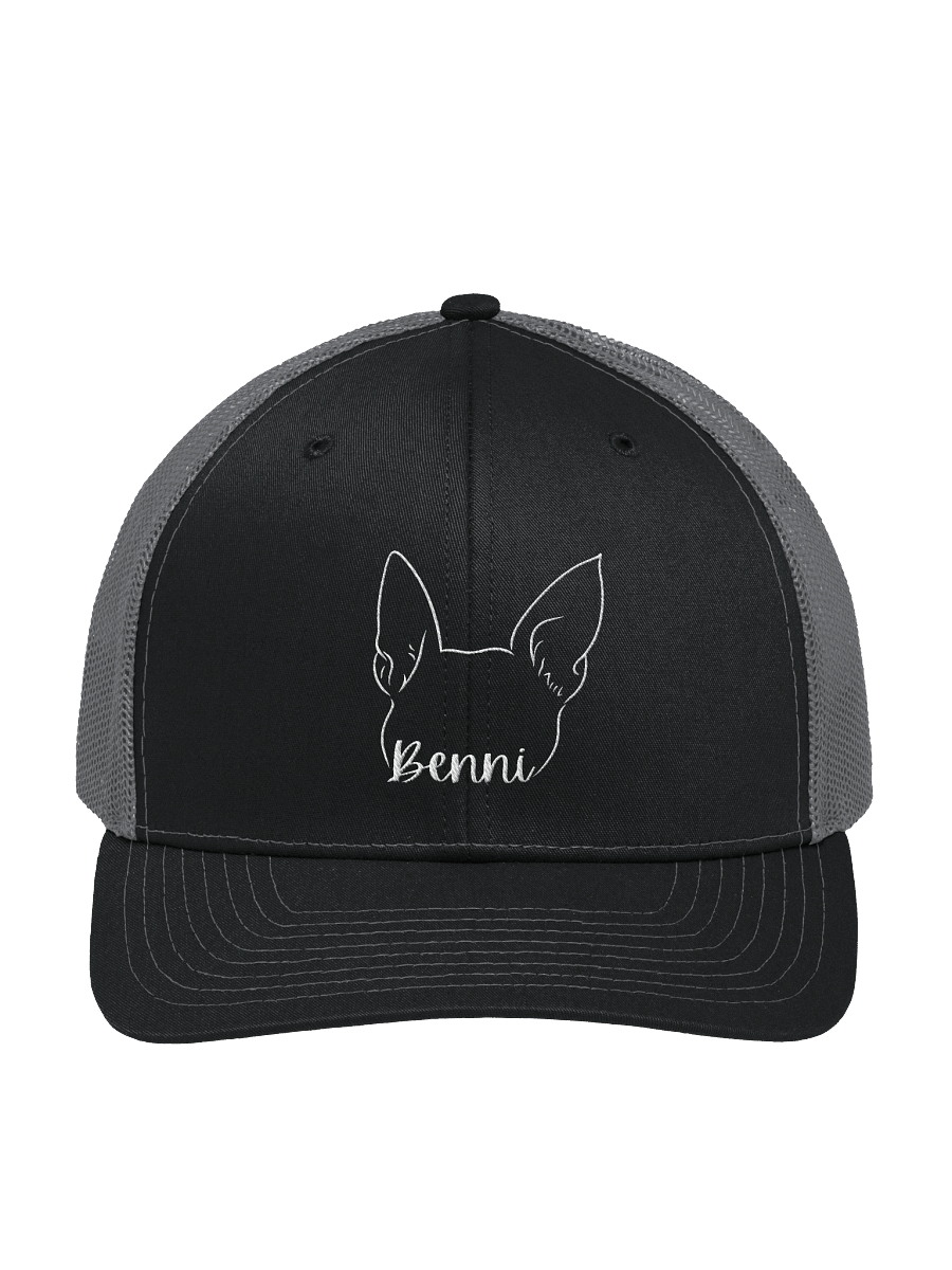 Benni Trucker product image (1)