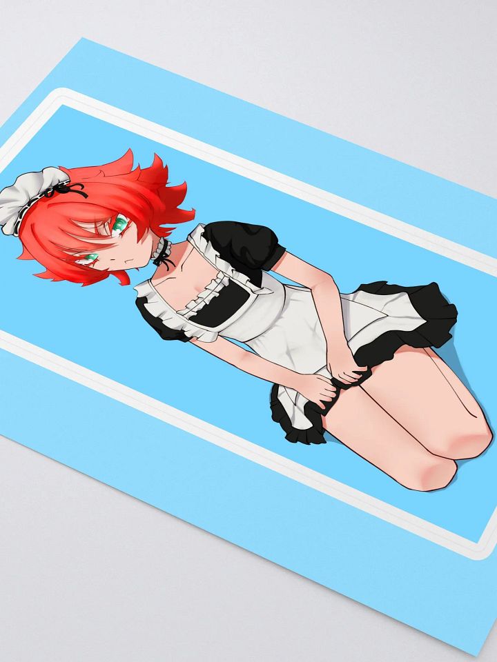 maid product image (2)