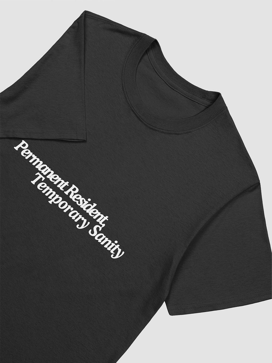 PERMANENT RESIDENT, TEMPORARY SANITY UNISEX T-SHIRT product image (3)