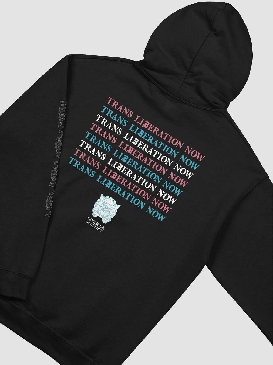 Liberate hoodie product image (4)