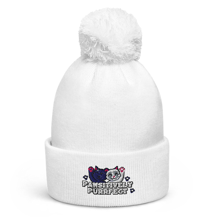 Pawsitively Purrfect Beanie product image (6)