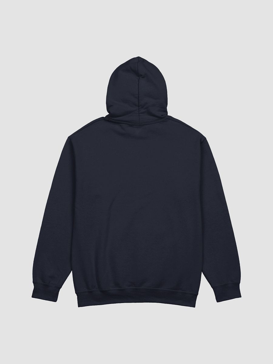 Singer From Kazakhstan Gildan Unisex Hoodie product image (3)