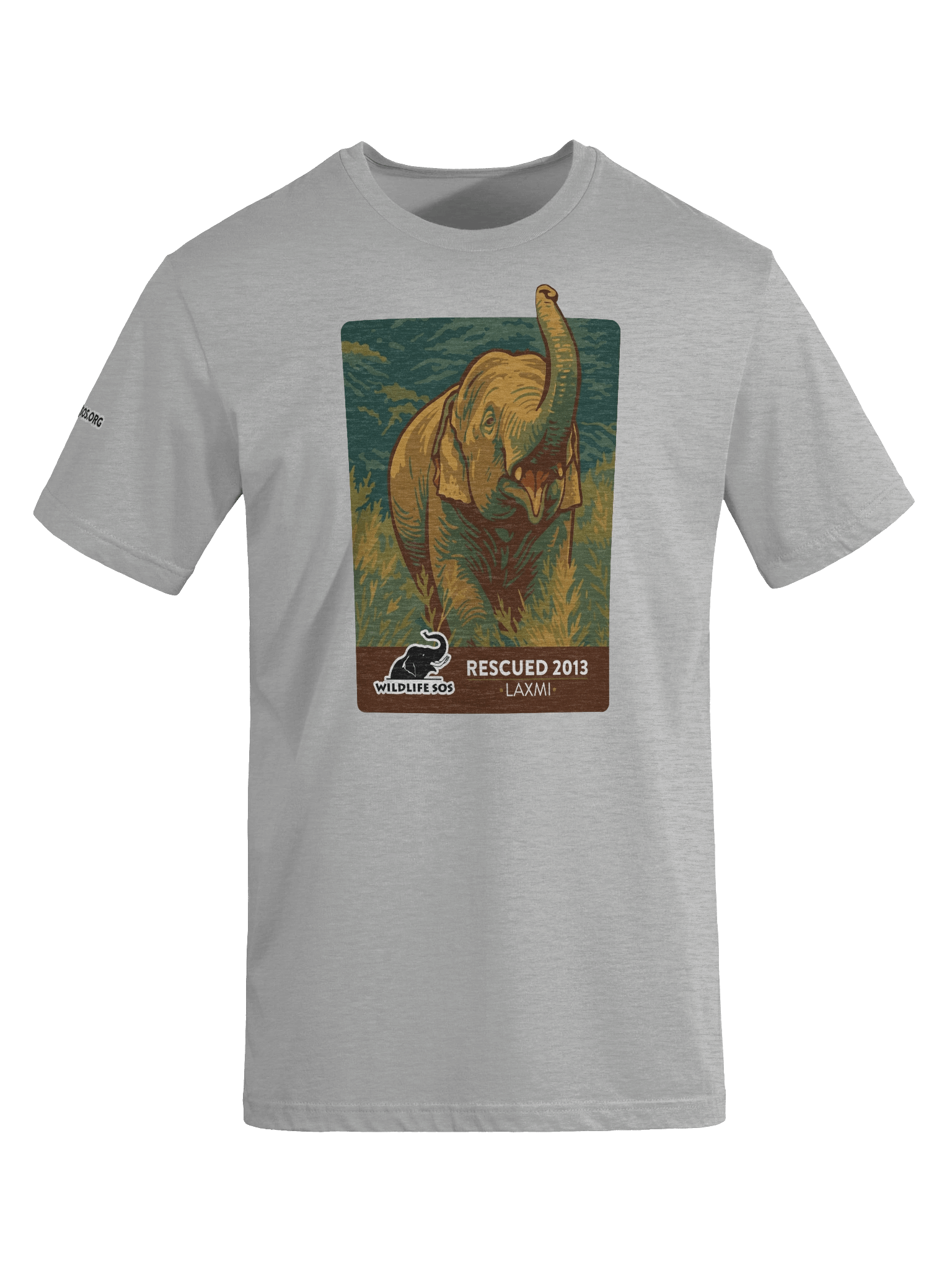 Laxmi - Rescued 2013! product image (29)