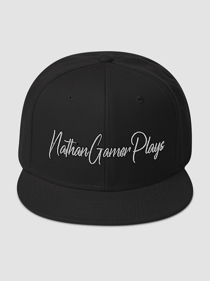 Snapback - Otto Cap product image (1)