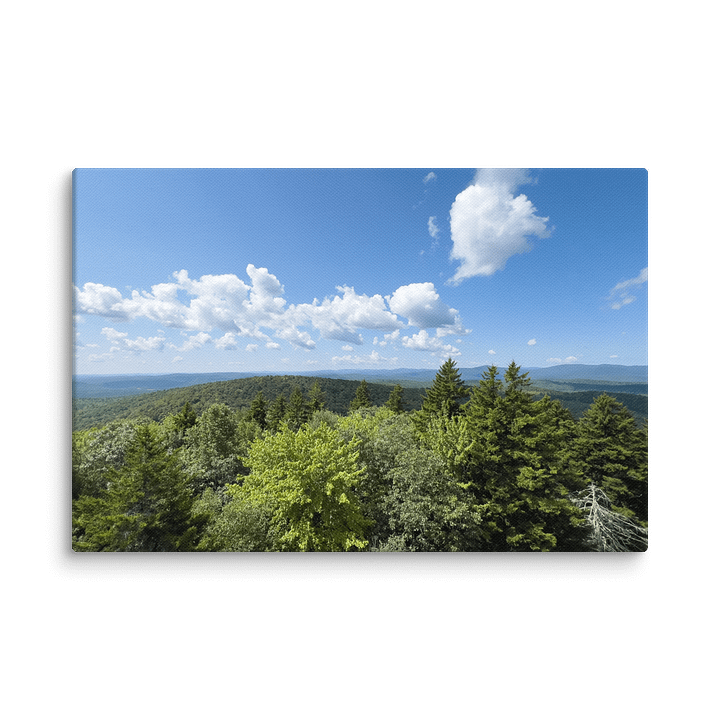 From the Fire Tower (Canvas) product image (2)