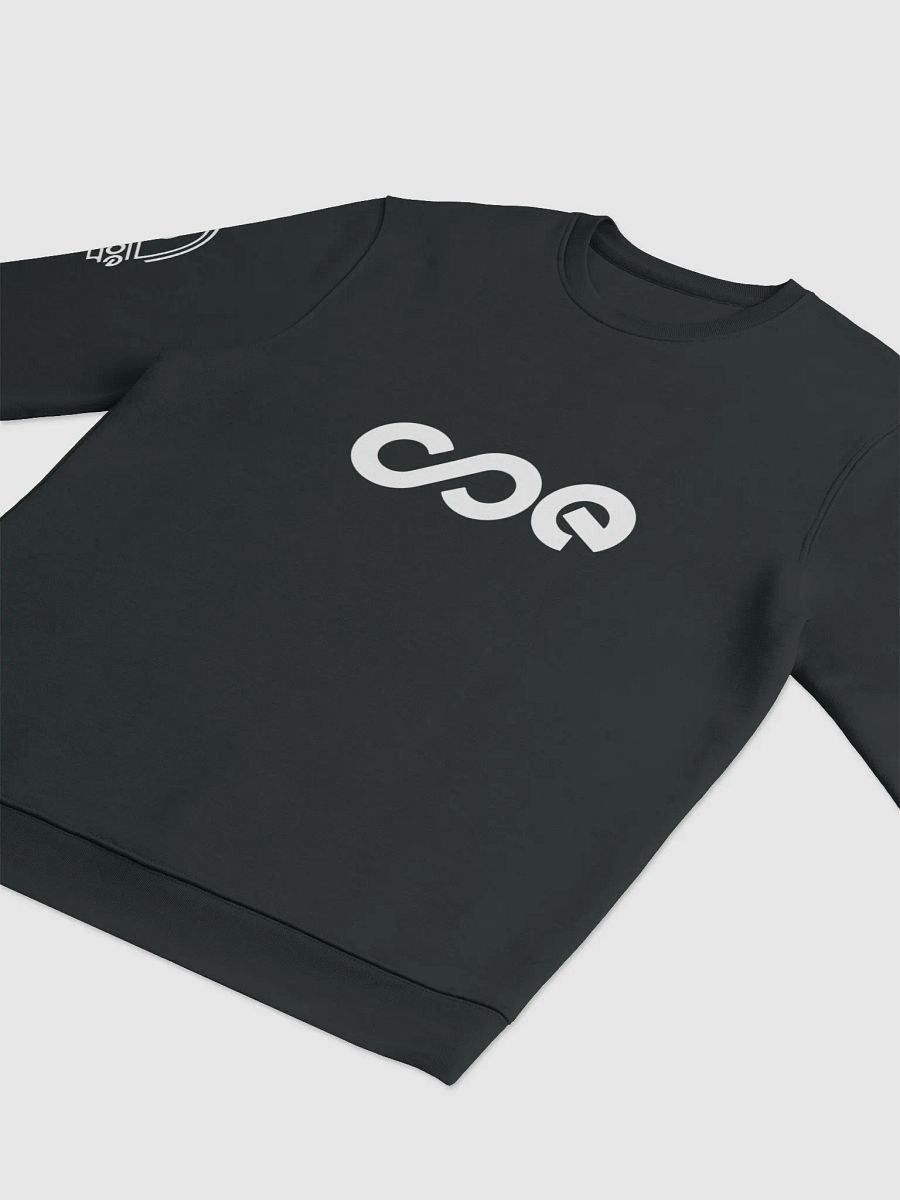 COE Premium Sweatshirt product image (4)