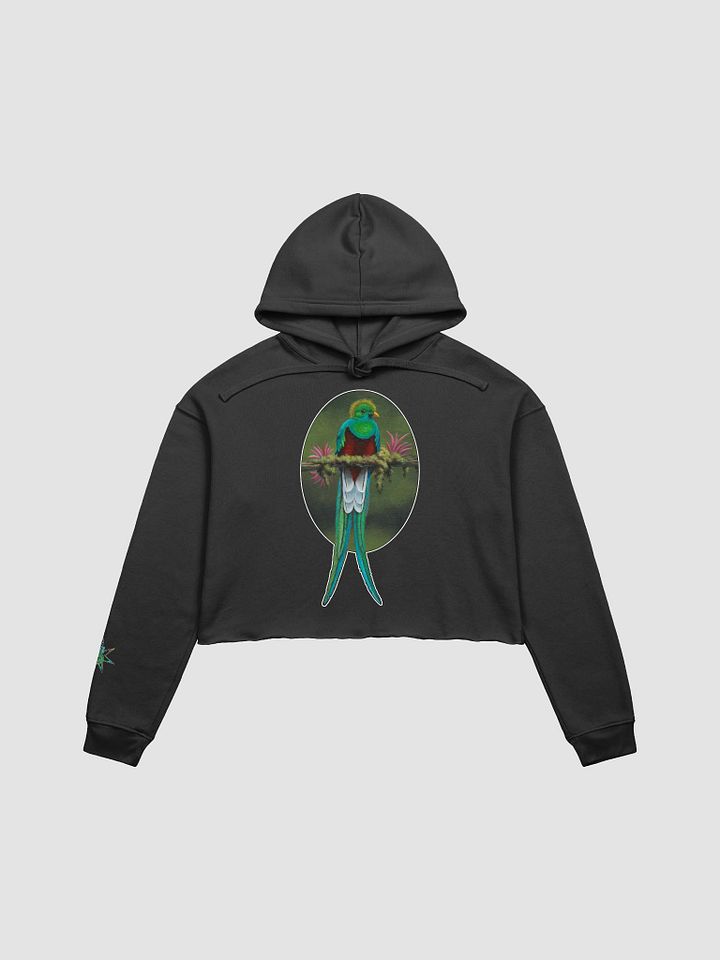 Resplendent Quetzal - SFA Crop Hoodie product image (5)