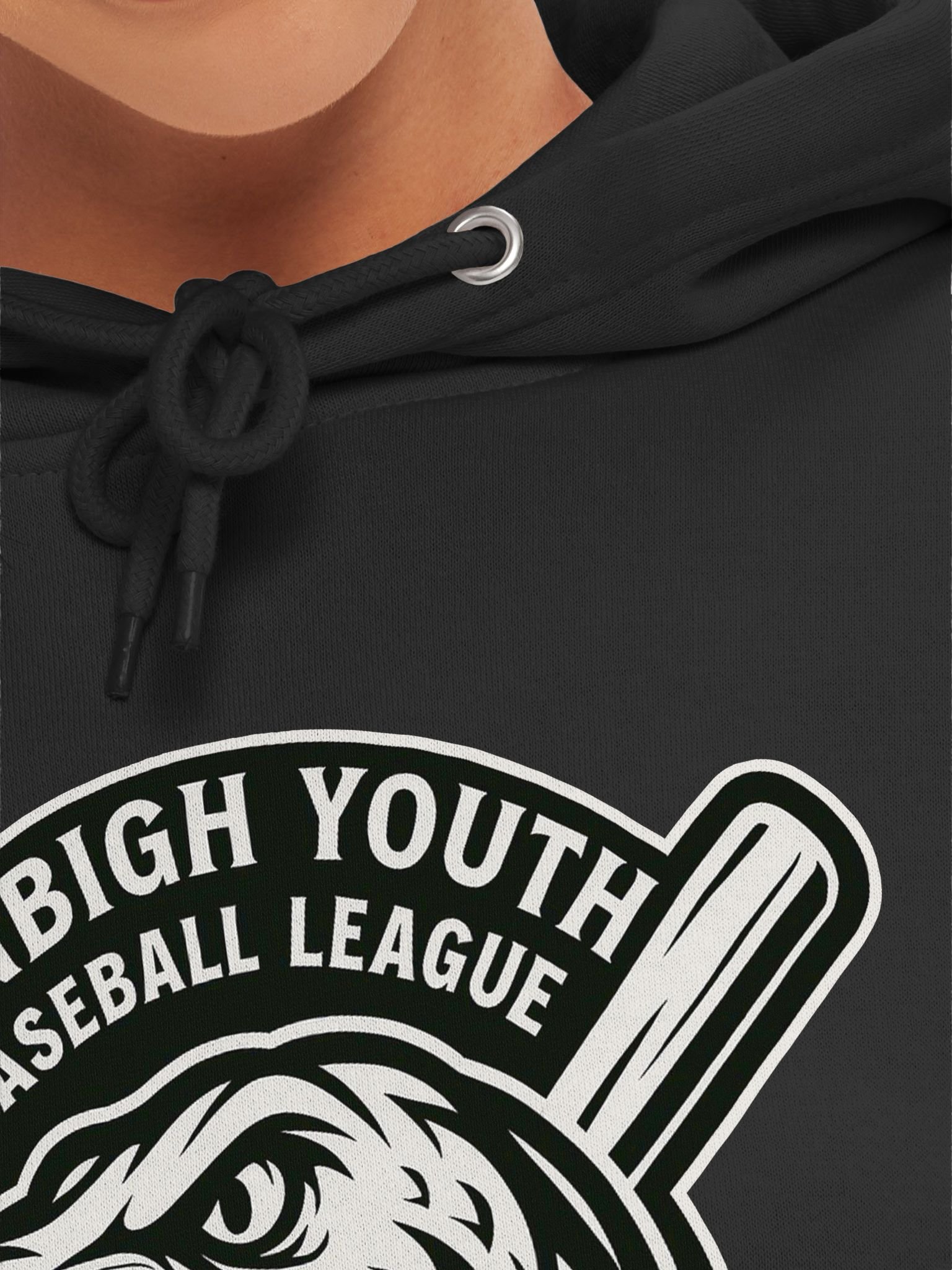 Raptors - Hoodie product image (55)