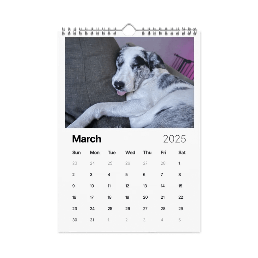 2025 Doggo Calendar product image (9)