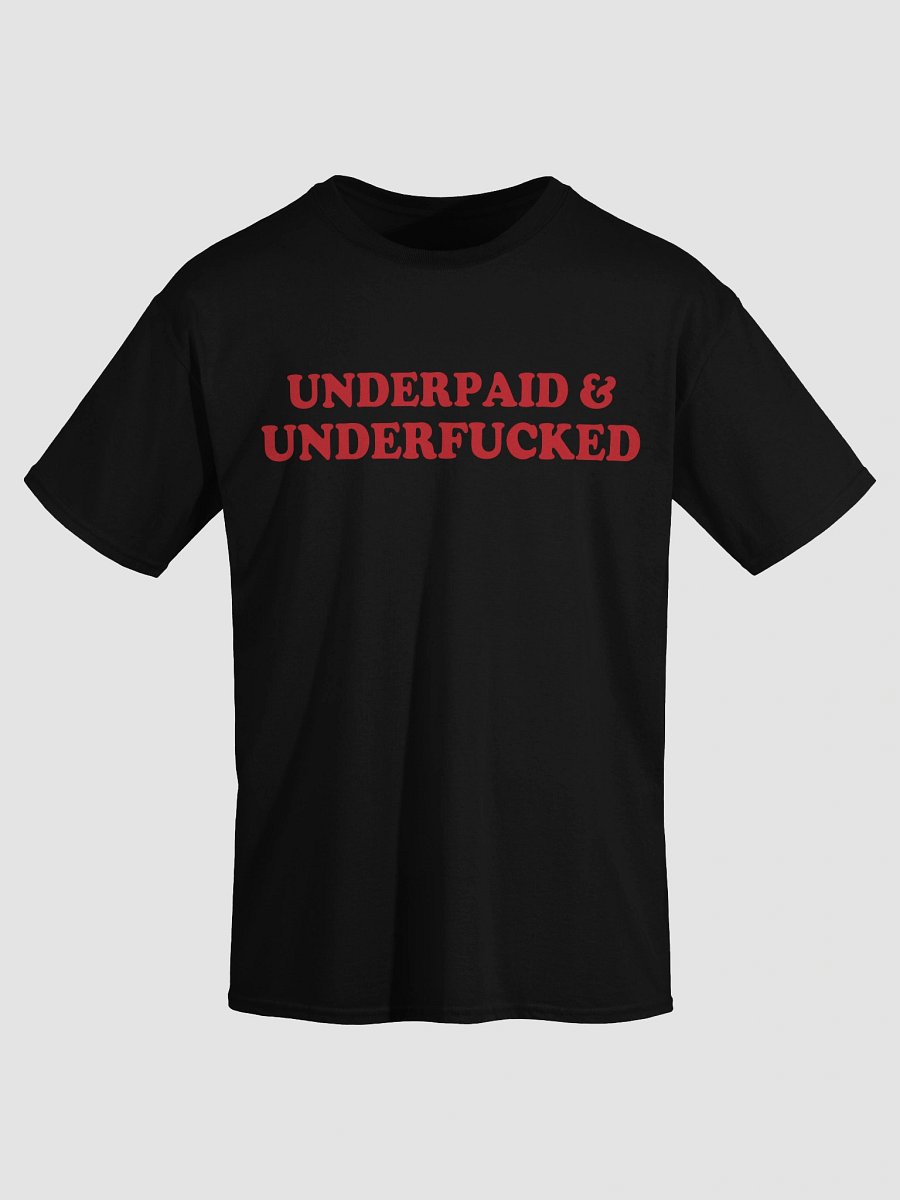 Underpaid product image (17)