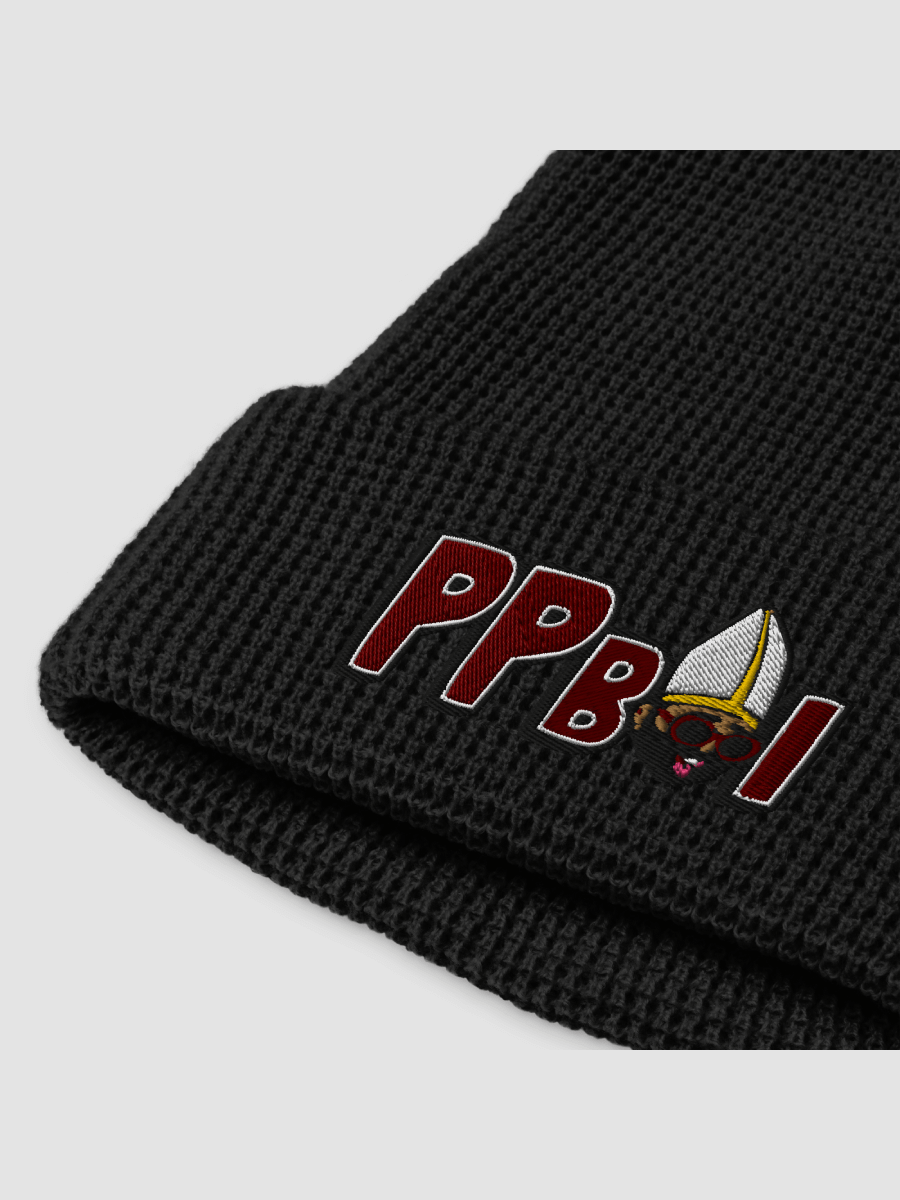PPBoi Beanie product image (1)