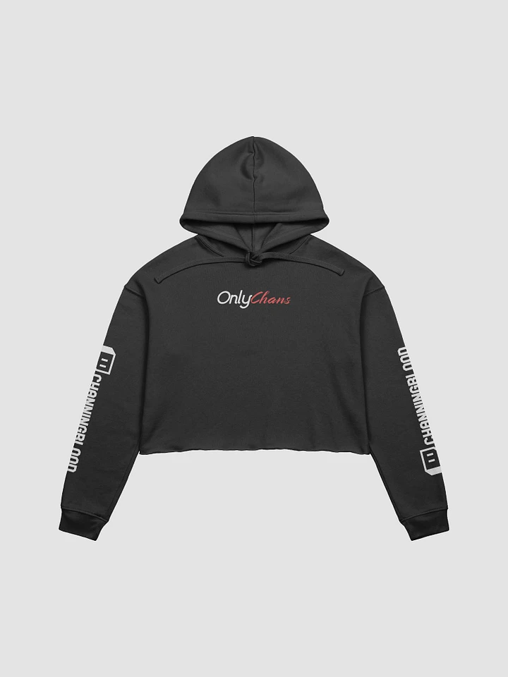 Channing Crop Hoodie product image (1)