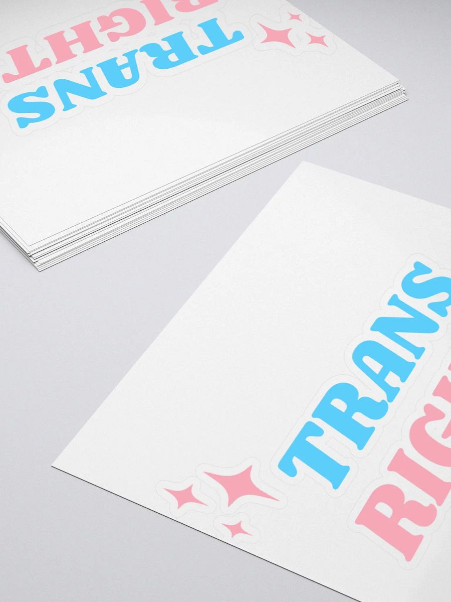 Trans Rights Sticker product image (4)