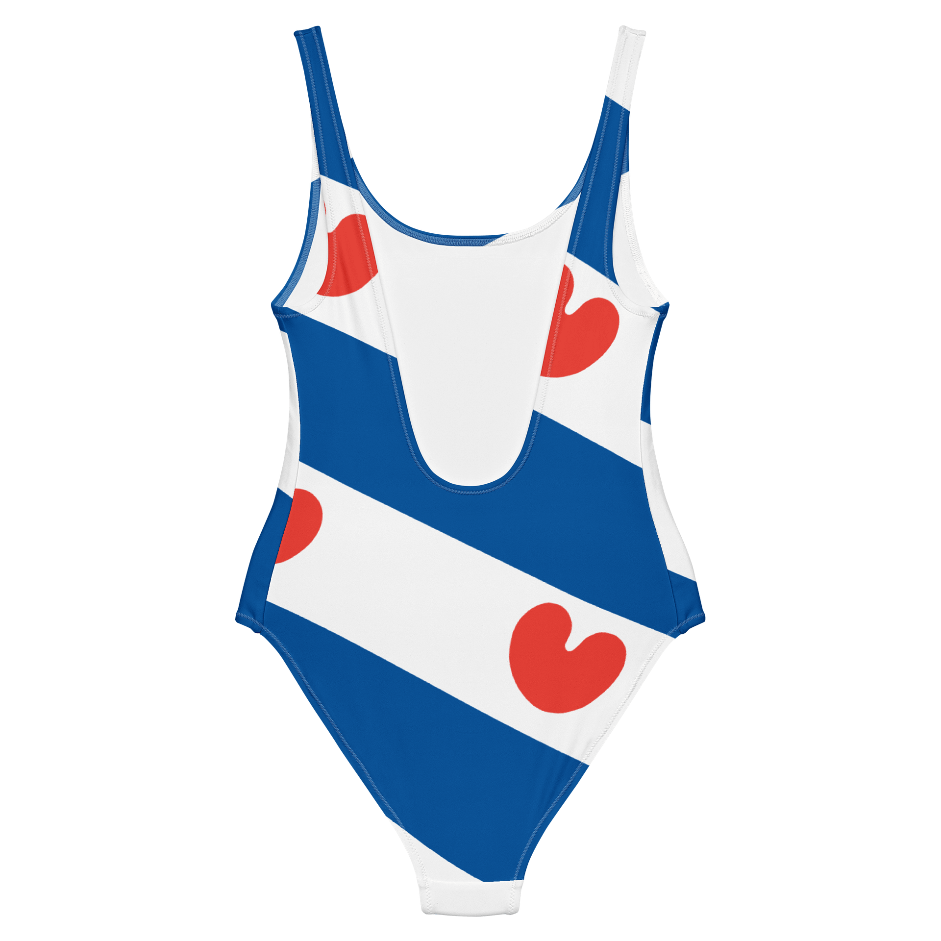 Fryslân - Bathing Suit product image (6)